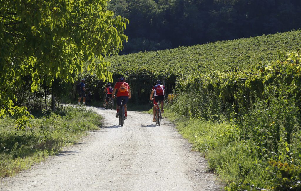 costa dei trabocchi, un viaggio tra natura, storia e sapori 2
