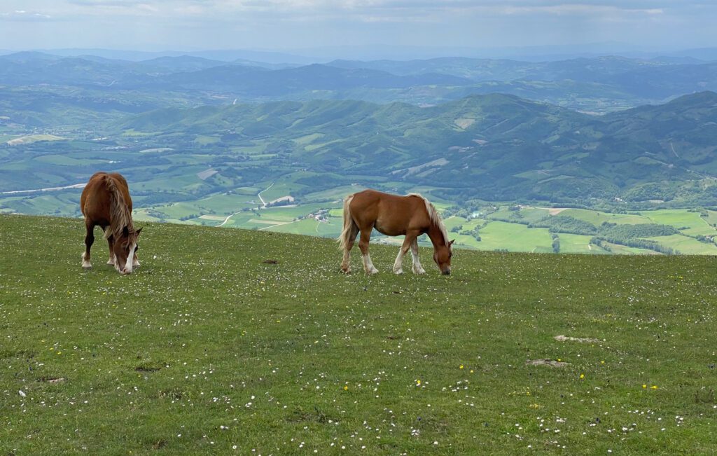 gubbio il borgo incantato dell’umbria il parco del monte cucco