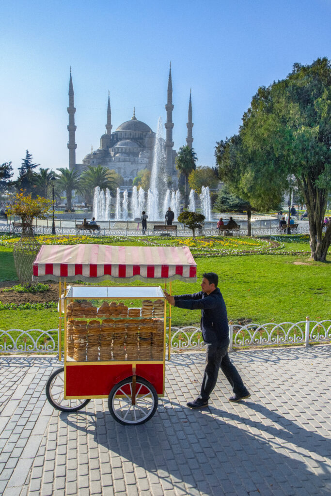 0975 i̇stanbul sultanahmet si̇mi̇tçi̇ steve mccurry 16.11.2013 ajans