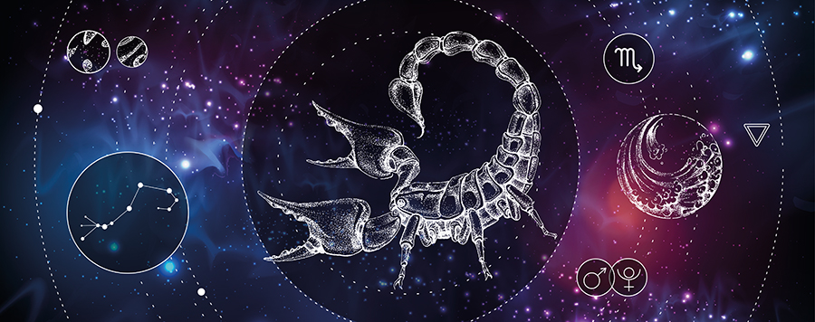 8 Scorpione ©shutterstock