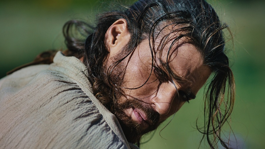 can yaman