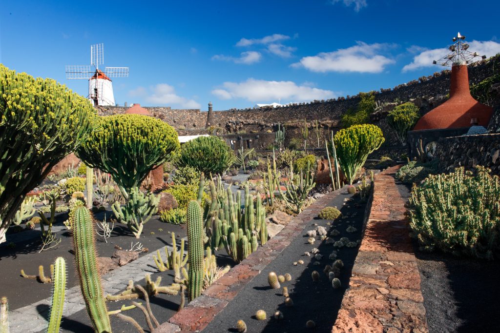 Jardin de Cactus, inaugurato nel 1991, è l'ultima opera di Manrique.