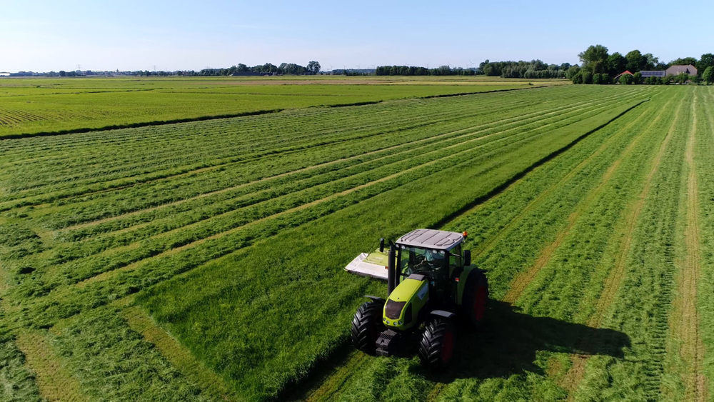 Campi troppo "squadrati" e coltivati e falciati a reticolati troppo larghi disorientano le api e tolgono loro le nicchie per sostentamento e accoppiamento per grandi estensioni di territorio, finendo per allontanarle o, peggio, incidendo sulla loro capacità riproduttiva.