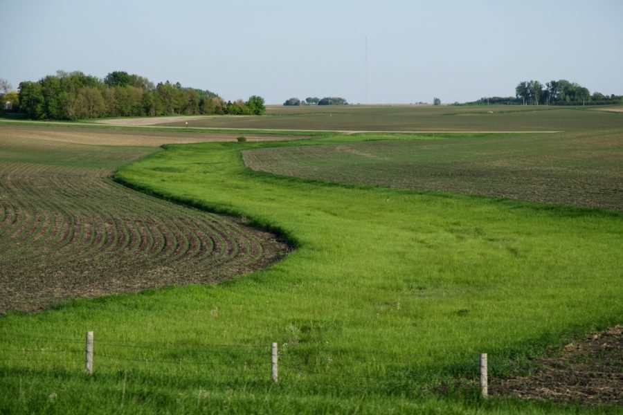Campi coltivati con un andamento sinuoso e che rispettino alternanza di erba falciata e alta sono più "appetibili" per le api: secondo una ricerca di entomologi dell'Università di Gent, dopo 3 anni di trattamento del campo di questo tipo si assiste a un aumento di biodiversità e di presenza di api e altri insetti impollinatori fino al 50%.