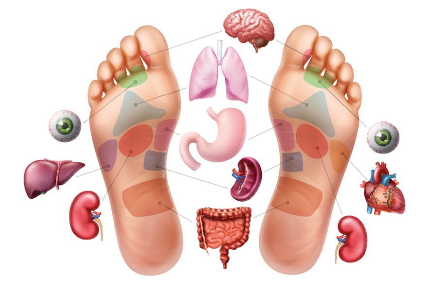 Il benessere comincia dai piedi con la riflessologia plantare