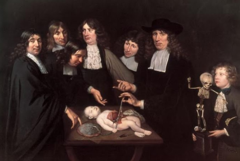 Il dipinto "lezione di anatomia del dr Friderik Ruysch", Jan van Neck, 1683.