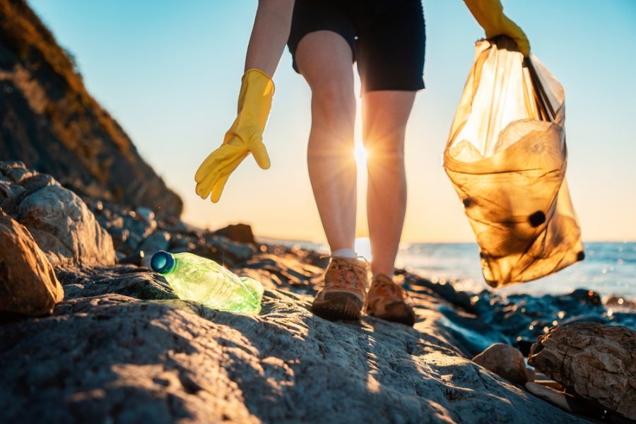 Tutti noi possiamo fare la nostra parete per proteggere l'ambiente. - © STEKLO/Shutterstock