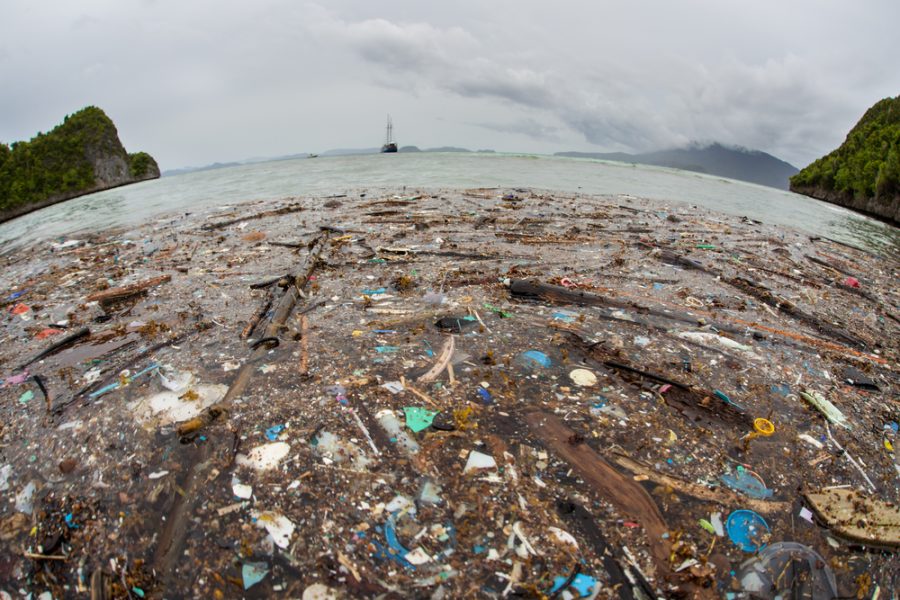 Talvolta, a causa delle correnti, nell'oceano o in vicinanza delle coste i rifiuti scaricati in mare e più leggeri dell'acqua, galleggiando, finiscono per radunarsi a causa delle correnti generando delle vere e proprie "isole di plastica", come il famigerato Pacific Trash Vortex in pieno Oceano Pacifico, grande al momento circa 1,6 milioni di Km quadrati, ossia più di due volte l'area della Francia! - © Ethan Daniels/Shutterstock