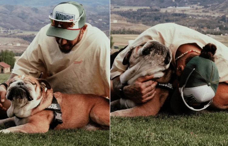 Addio a Roscoe, il bulldog di Lewis Hamilton: «La decisione più difficile della mia vita»
