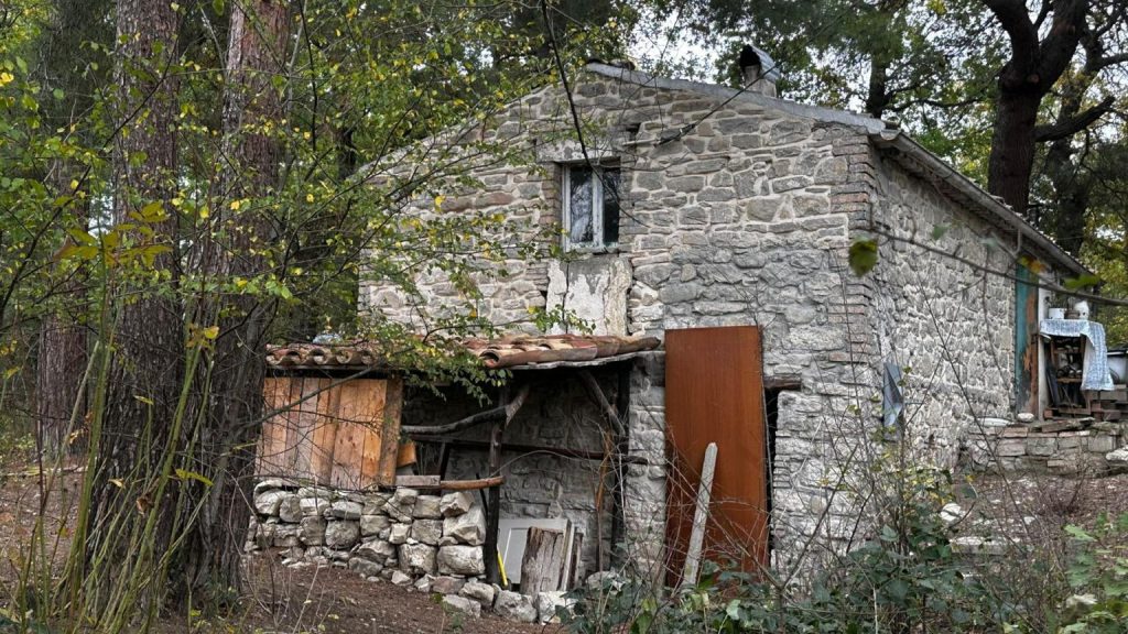 Famiglia nel bosco, i figli potrebbero essere iscritti a scuola