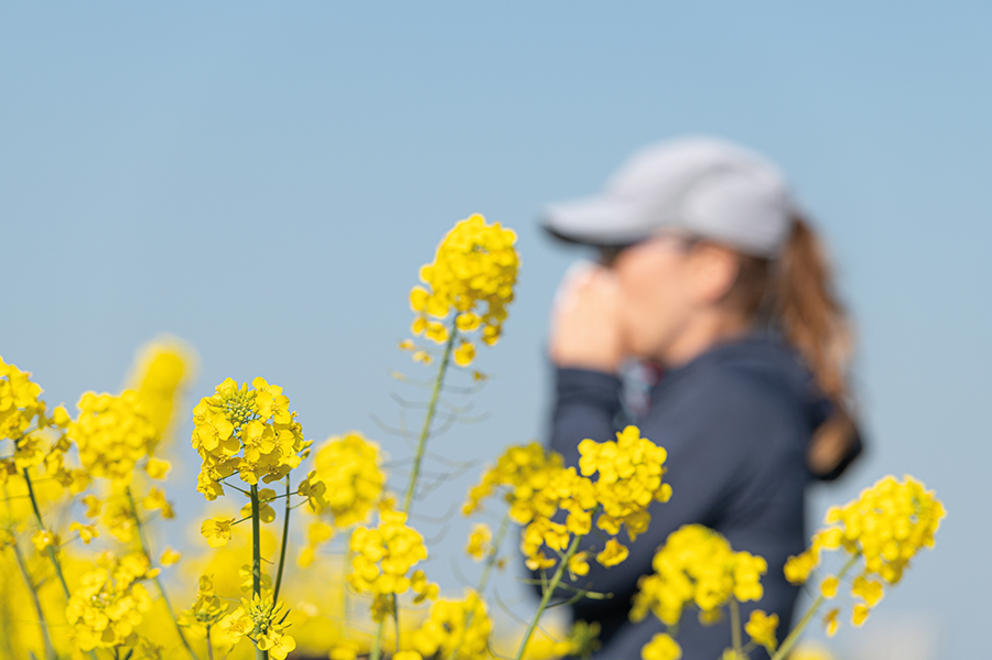 Allergie e sport in primavera: guida pratica per allenarsi senza rischi