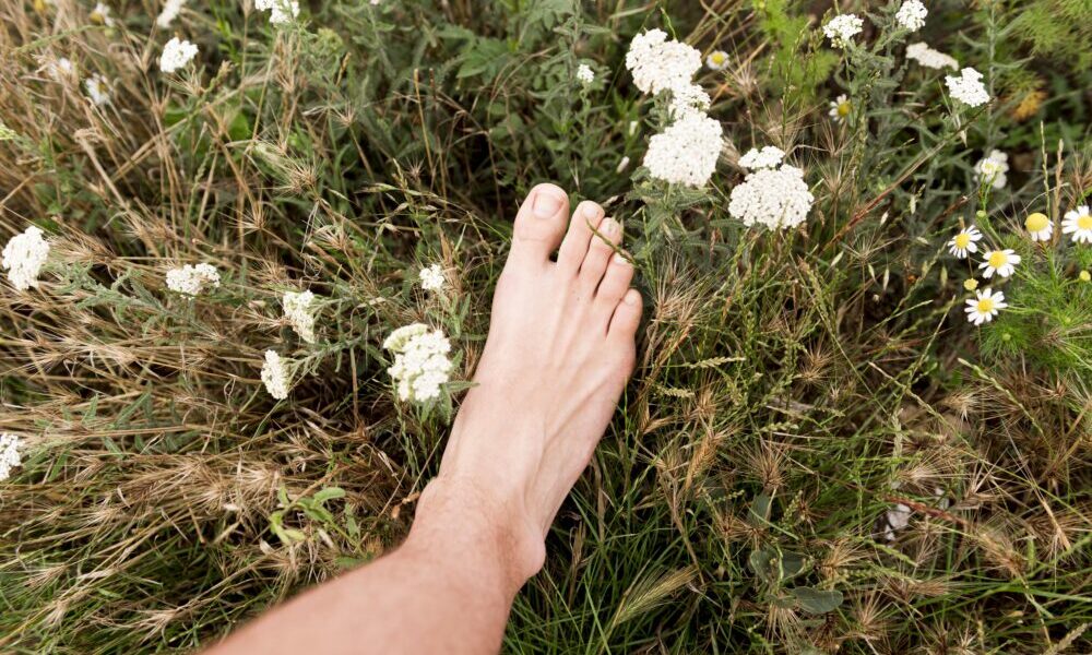 Earthing: camminare a piedi nudi sulla terra
