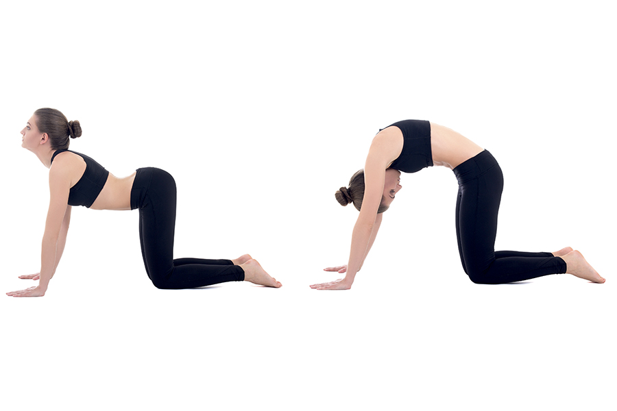 Addio stanchezza: 4 posizioni yoga per principianti e buone abitudini per ritrovare energia