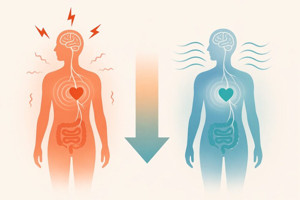 Nervo vago: il freno naturale dello stress