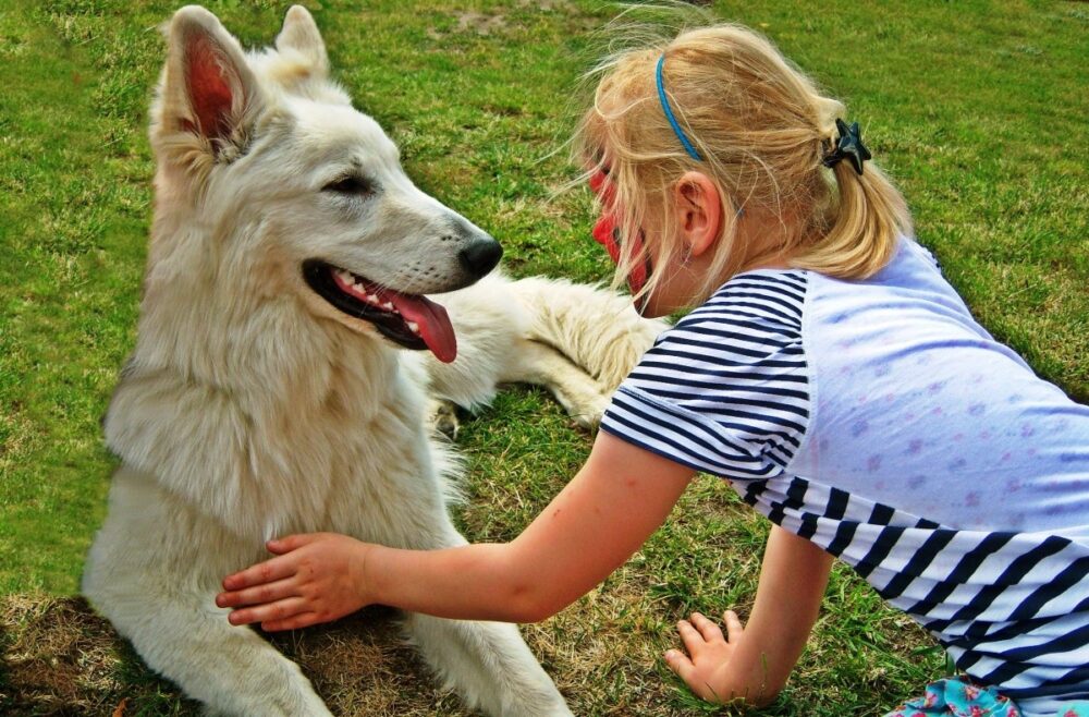 In Francia il “pet care” diventa materia: a scuola si impara a prendersi cura degli animali 1 In Francia il “pet care” diventa materia: a scuola si impara a prendersi cura degli animali