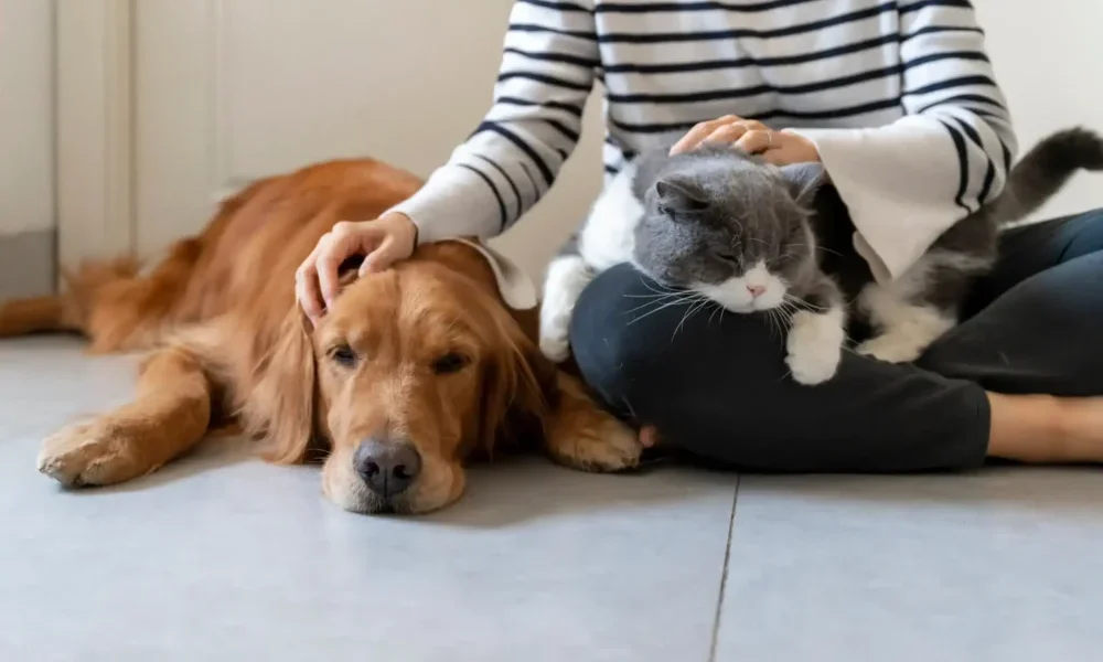 In Francia il “pet care” diventa materia: a scuola si impara a prendersi cura degli animali