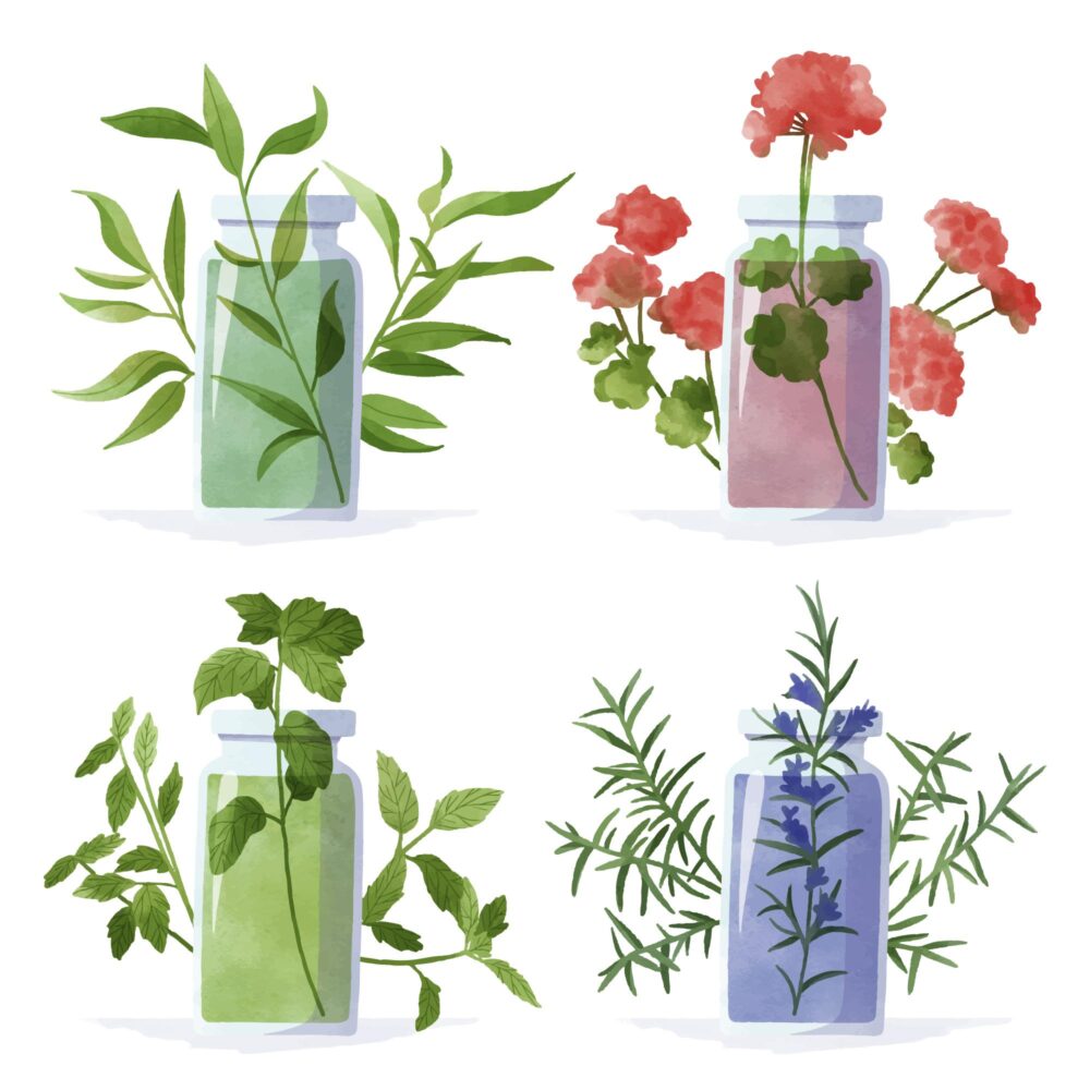 Acque aromatiche: gli idrolati che profumano la vita 4 Acque aromatiche: gli idrolati che profumano la vita