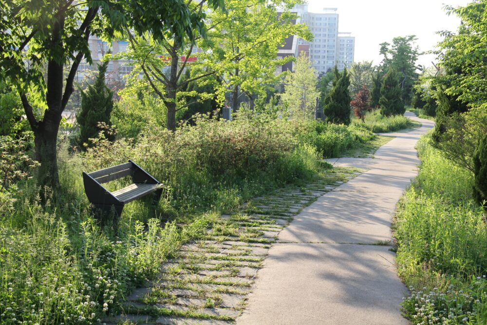 Deficit di natura: quel malessere di fondo che si cura con gli alberi 3 Deficit di natura: quel malessere di fondo che si cura con gli alberi