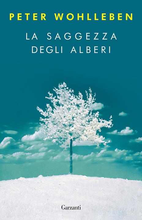 Tre libri sulla natura che cambiano il modo di guardare il mondo