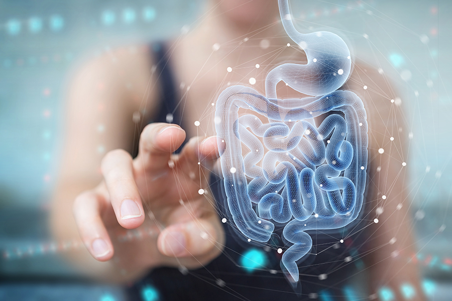 Microbiota: 5 falsi miti da sfatare per un intestino in salute
