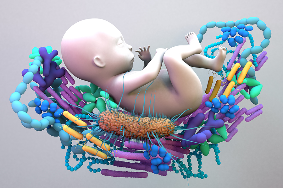 Microbiota: 5 falsi miti da sfatare per un intestino in salute 6 Microbiota: 5 falsi miti da sfatare per un intestino in salute